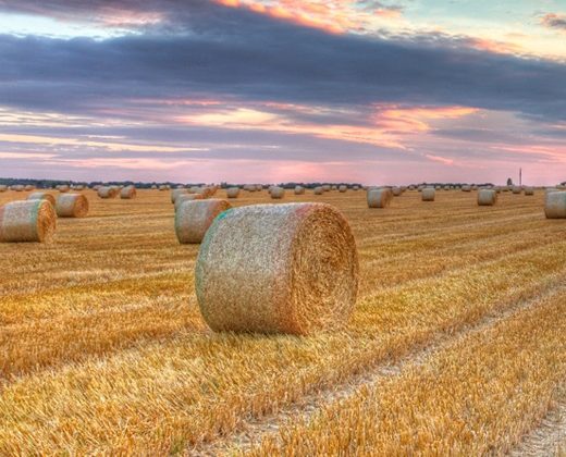 Stellar AM Investment Sectors - Farms