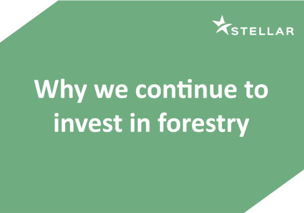 Why we continue to invest in forestry